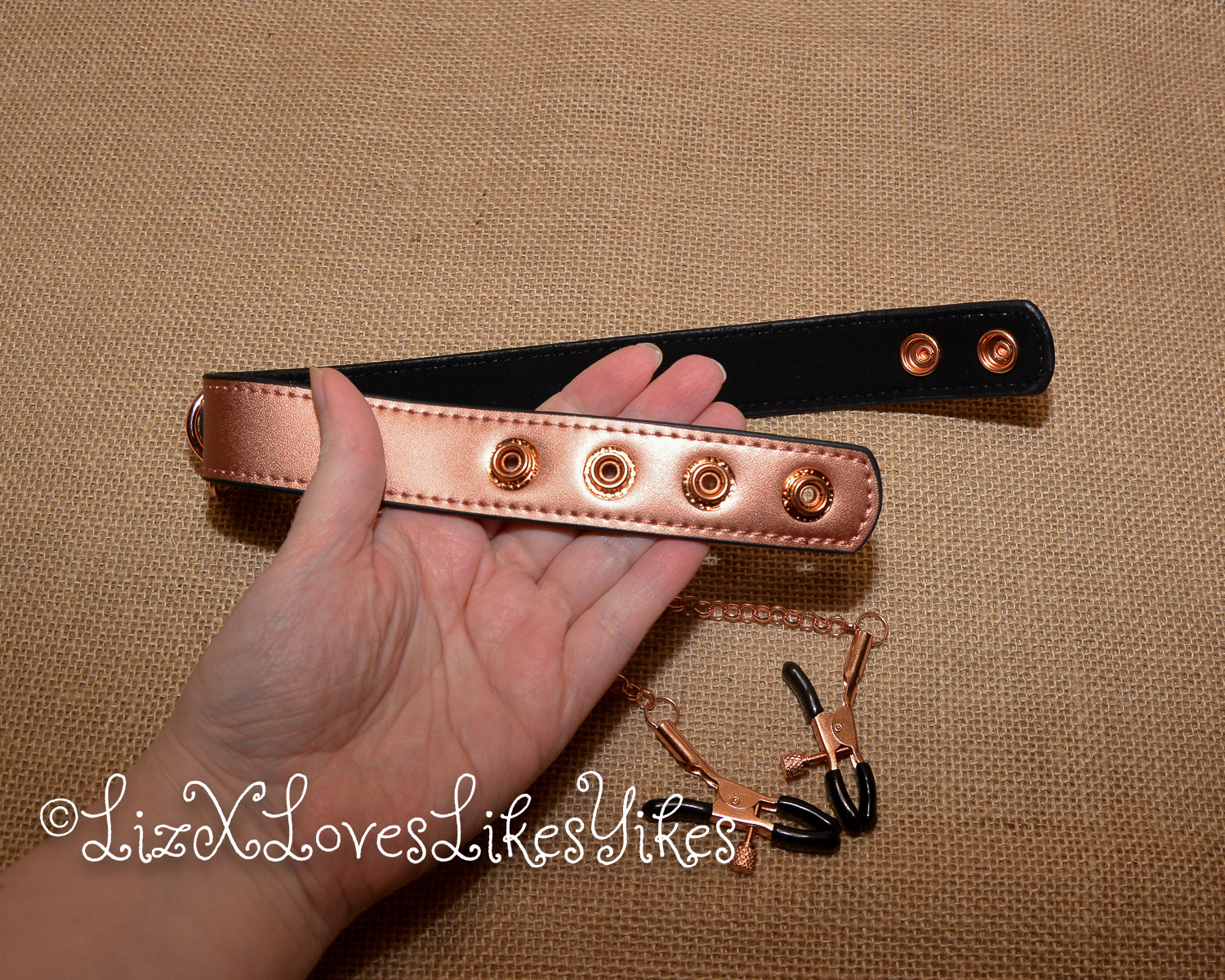 Review of the Rose Gold Memory Collar and Nipple Clamps by Liebe Seele