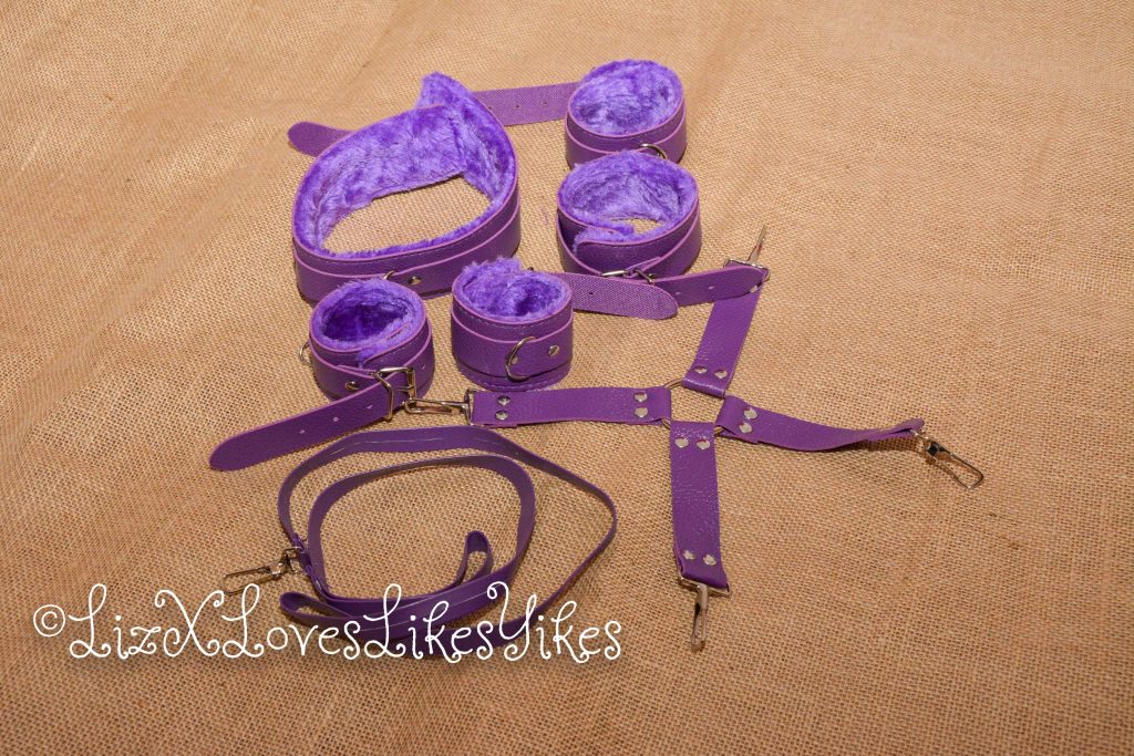 BDSM Set - Purple Copyright Liz BlackX The bondage gear in one picture