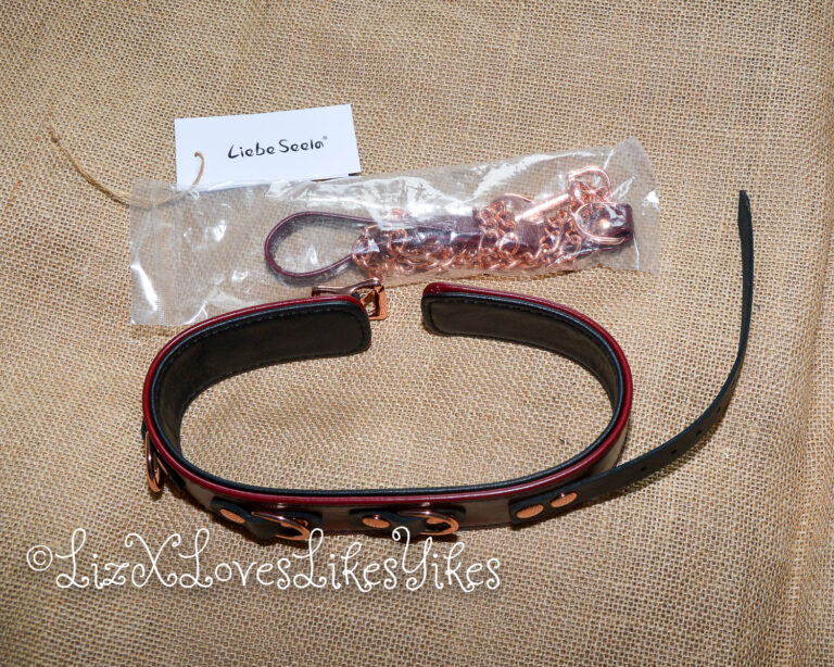 Review of Liebe Seele Wine Red Leather Collar with Leash, Rose Gold Metal Hardware Copyright Liz BlackX