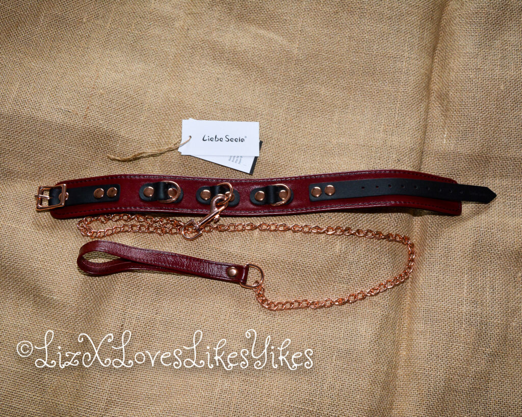 Review of Liebe Seele Wine Red Leather Collar with Leash, Rose Gold Metal Hardware Copyright Liz BlackX