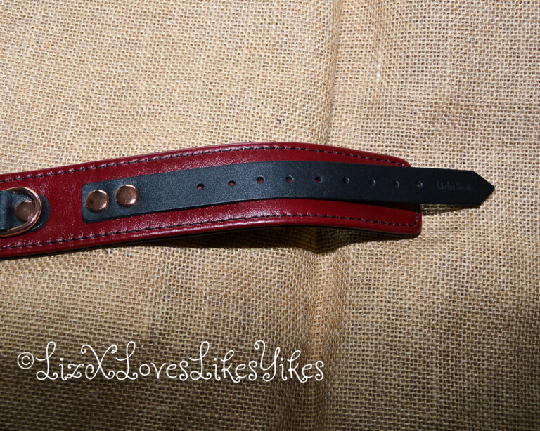 Review of Liebe Seele Wine Red Leather Collar with Leash, Rose Gold Metal Hardware Copyright Liz BlackX
