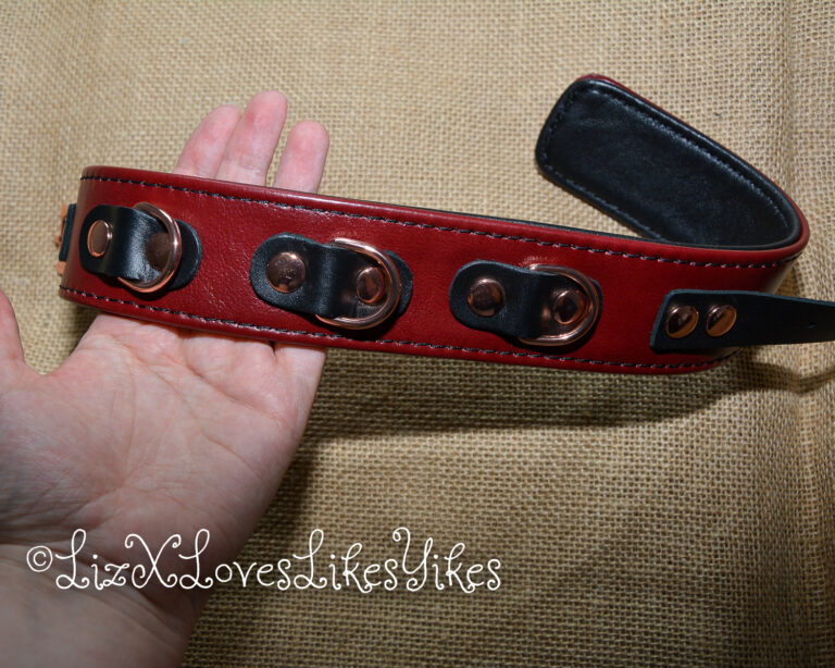 Review of Liebe Seele Wine Red Leather Collar with Leash, Rose Gold Metal Hardware Copyright Liz BlackX