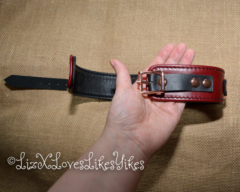 Review of Liebe Seele Wine Red Leather Collar with Leash, Rose Gold Metal Hardware Copyright Liz BlackX