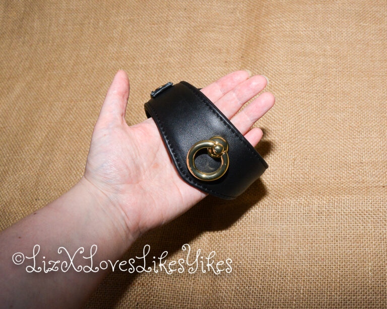 Review of Liebe Seele Dark Secret Deluxe Curved Collar with Chain Leash and Lock Copyright Liz BlackX