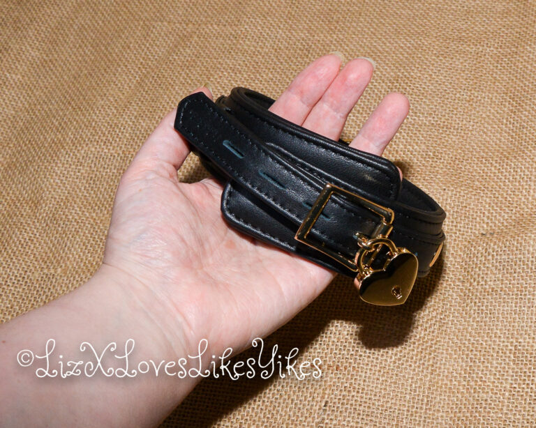 Review of Liebe Seele Dark Secret Deluxe Curved Collar with Chain Leash and Lock Copyright Liz BlackX