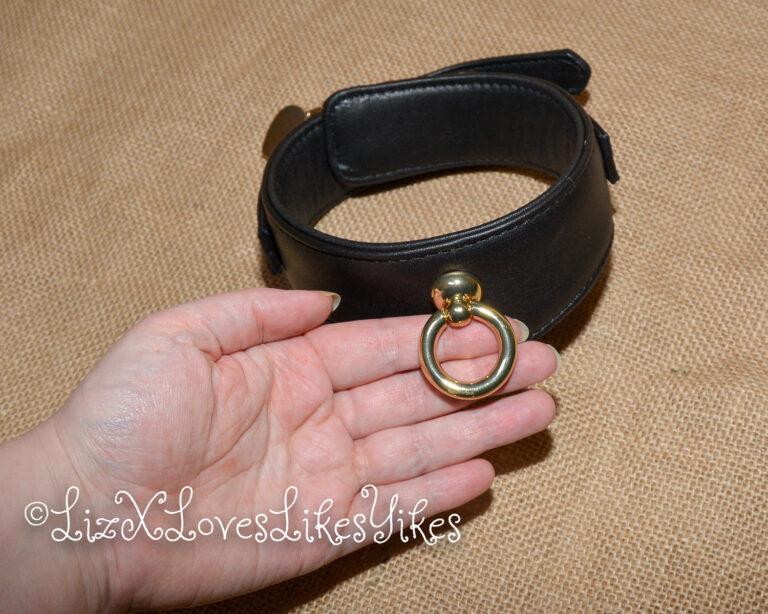 Review of Liebe Seele Dark Secret Deluxe Curved Collar with Chain Leash and Lock Copyright Liz BlackX