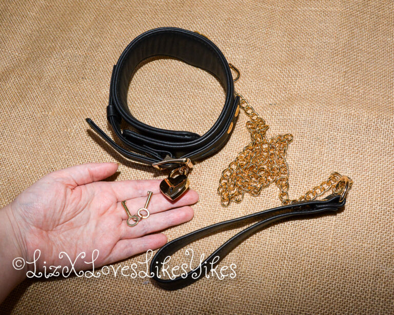 Review of Liebe Seele Dark Secret Deluxe Curved Collar with Chain Leash and Lock Copyright Liz BlackX