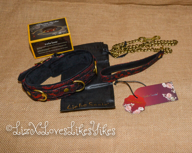 Review of the Liebe Seele Victorian Garden Lace and Velvet Collar with Chain Leash