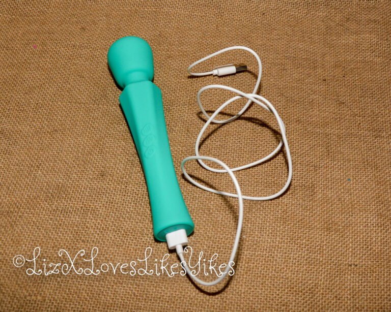 Review of Sweetensity Rechargeable Silicone Wand Vibrator Copyright Liz BlackX