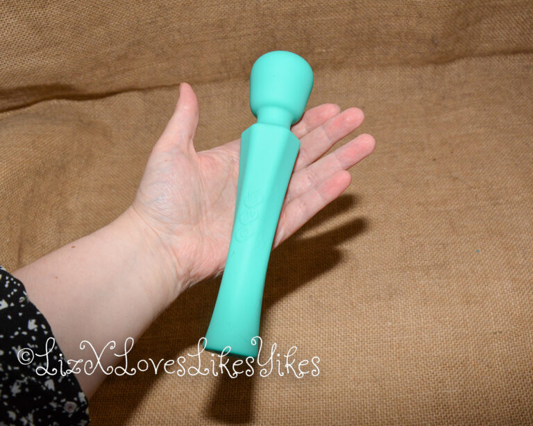 Review of Sweetensity Rechargeable Silicone Wand Vibrator Copyright Liz BlackX