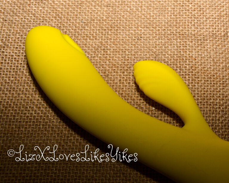 Review of the California Dreaming San Diego Seduction Dual Stimulation Vibrator CalExotics Copyright Liz BlackX
