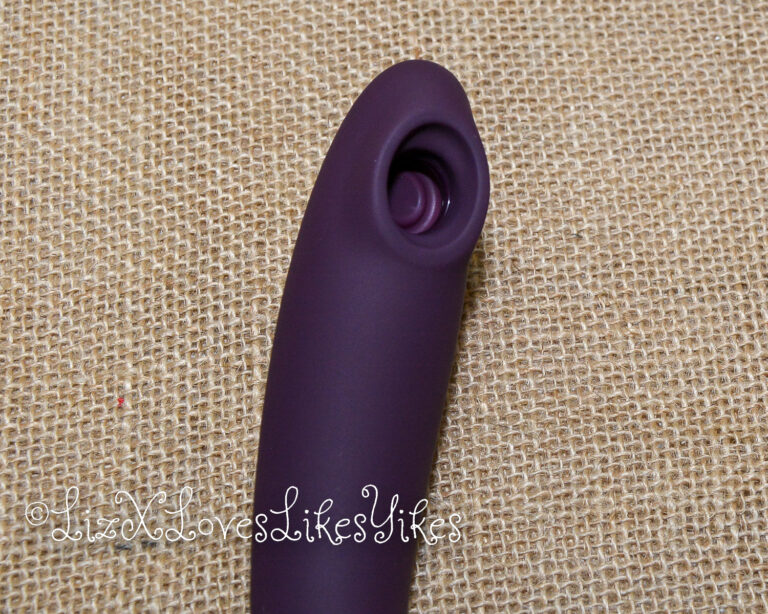Review of the Womanizer OG Copyright Liz BlackX
