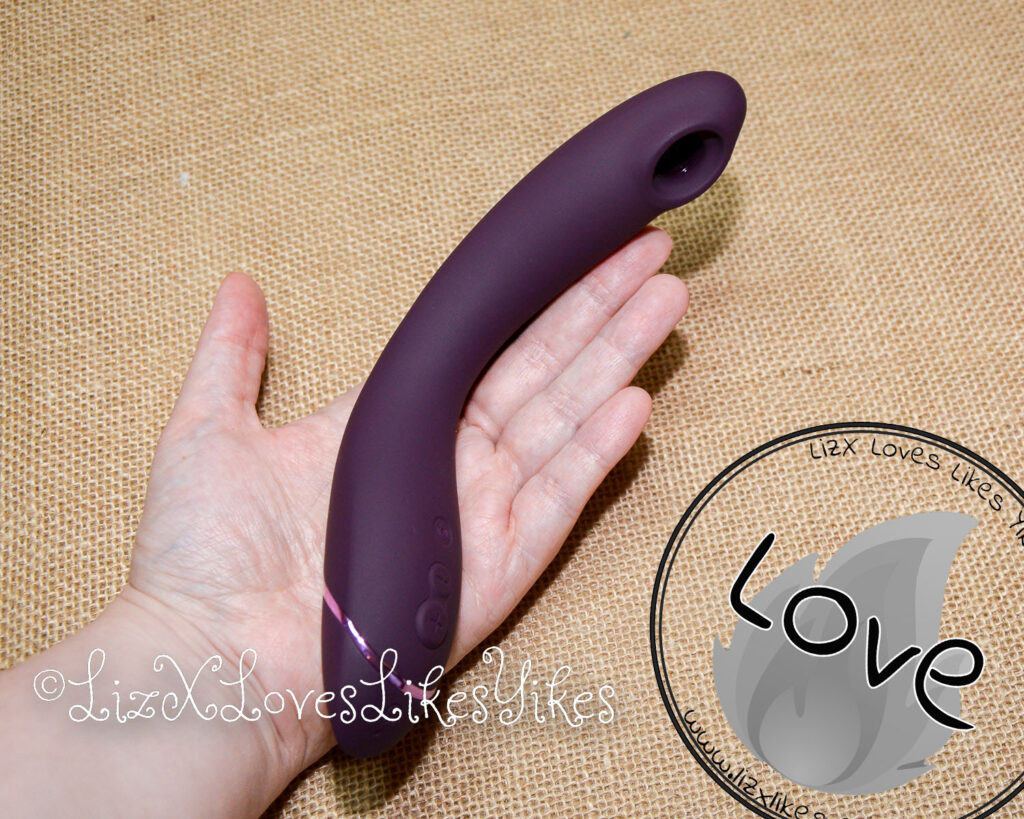 Review of the Womanizer OG Copyright Liz BlackX