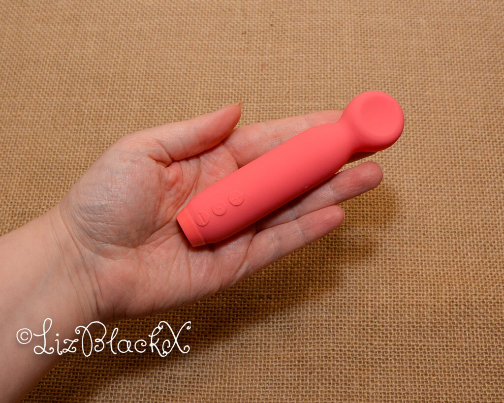 Review of the Vita by Je Joue Copyright Liz BlackX