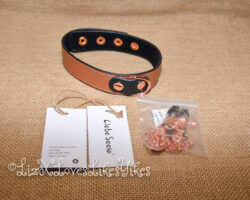 Review of the Rose Gold Memory Collar and Nipple Clamps by Liebe Seele Copyright Liz BlackX