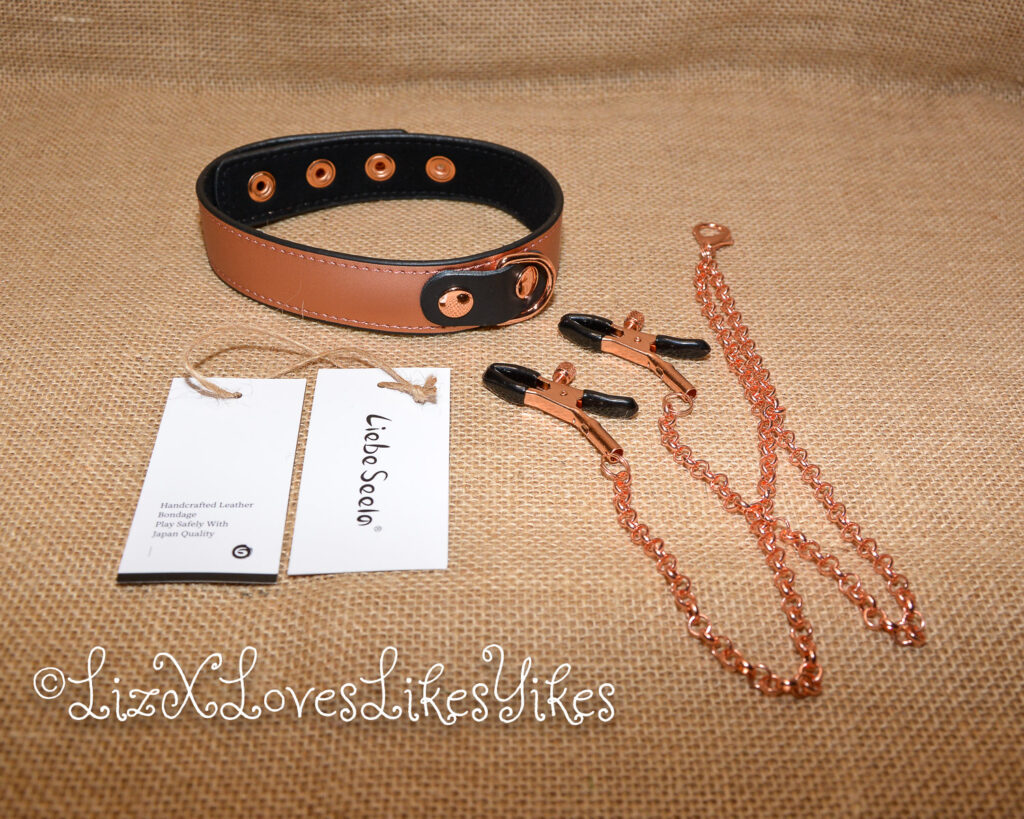 Review of the Rose Gold Memory Collar and Nipple Clamps by Liebe Seele Copyright Liz BlackX