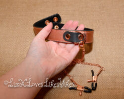Review of the Rose Gold Memory Collar and Nipple Clamps by Liebe Seele Copyright Liz BlackX