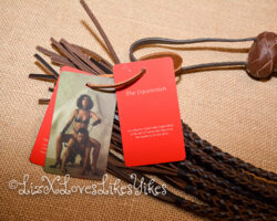 Review of the Equestrian Leather Cat o'nine tails Flogger by Liebe Seele Copyright Liz BlackX