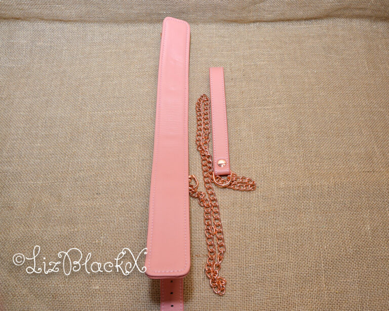 Review of the Pink Dream Leather Collar with Leash by Liebe Seele Copyright Liz BlackX