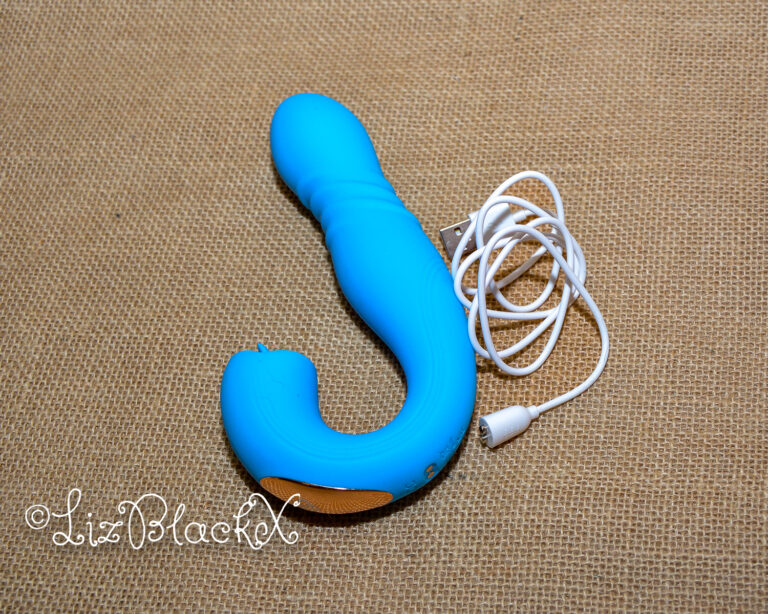 Review of the Joi Thrust by HoneyPlayBox Copyright Liz BlackX