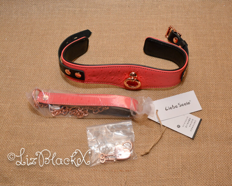 Seductively Secure: The Ultimate Review of the Angel's Kiss Leather Curved Collar from Liebe Seele Copyright LizBlackX