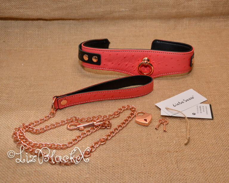 Seductively Secure: The Ultimate Review of the Angel's Kiss Leather Curved Collar from Liebe Seele Copyright LizBlackX