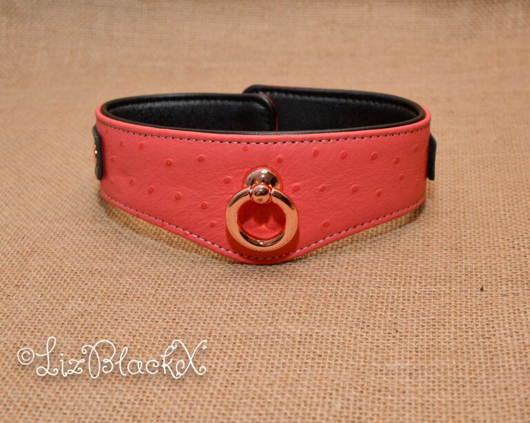 Seductively Secure: The Ultimate Review of the Angel's Kiss Leather Curved Collar from Liebe Seele Copyright LizBlackX
