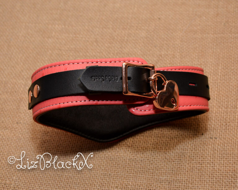 Seductively Secure: The Ultimate Review of the Angel's Kiss Leather Curved Collar from Liebe Seele Copyright LizBlackX