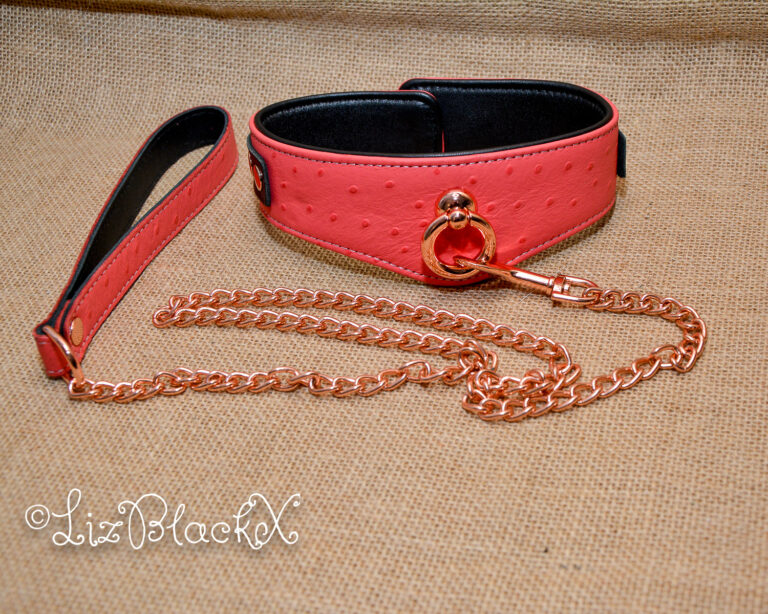 Seductively Secure: The Ultimate Review of the Angel's Kiss Leather Curved Collar from Liebe Seele Copyright LizBlackX