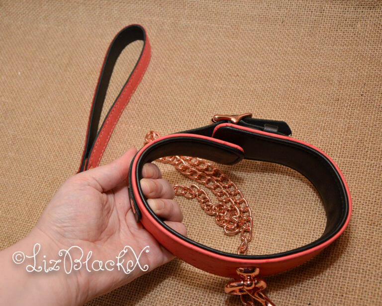 Seductively Secure: The Ultimate Review of the Angel's Kiss Leather Curved Collar from Liebe Seele Copyright LizBlackX