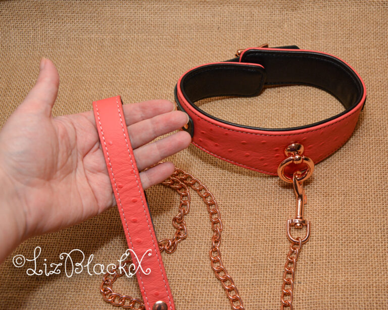 Seductively Secure: The Ultimate Review of the Angel's Kiss Leather Curved Collar from Liebe Seele Copyright LizBlackX