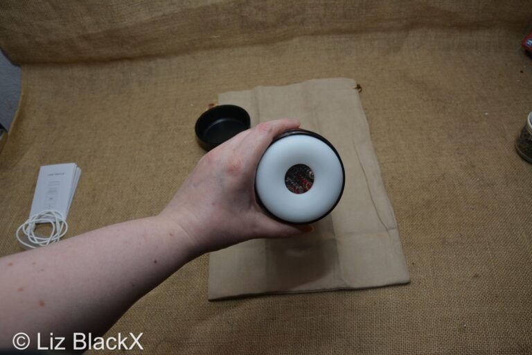 Heavy-Duty Automation: A Review of the Honey Play Box Warrior Masturbator Copyright Liz BlackX
