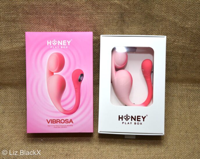 Tech-Driven Wellness: A Review of the Vibrosa Dual-Egg Vibrator Copyright Liz BlackX
