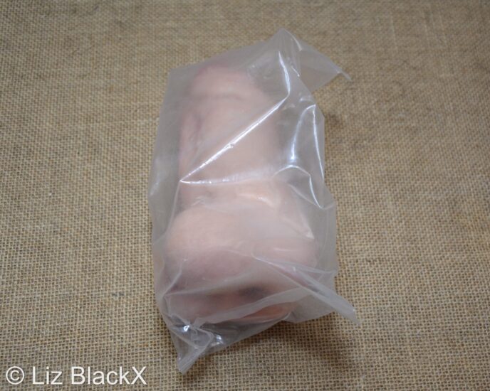Is This the Ultimate Heavy-Duty Sleeve? QUTOYS Hole-y Cow Masturbator Review Copyright LizBlackX